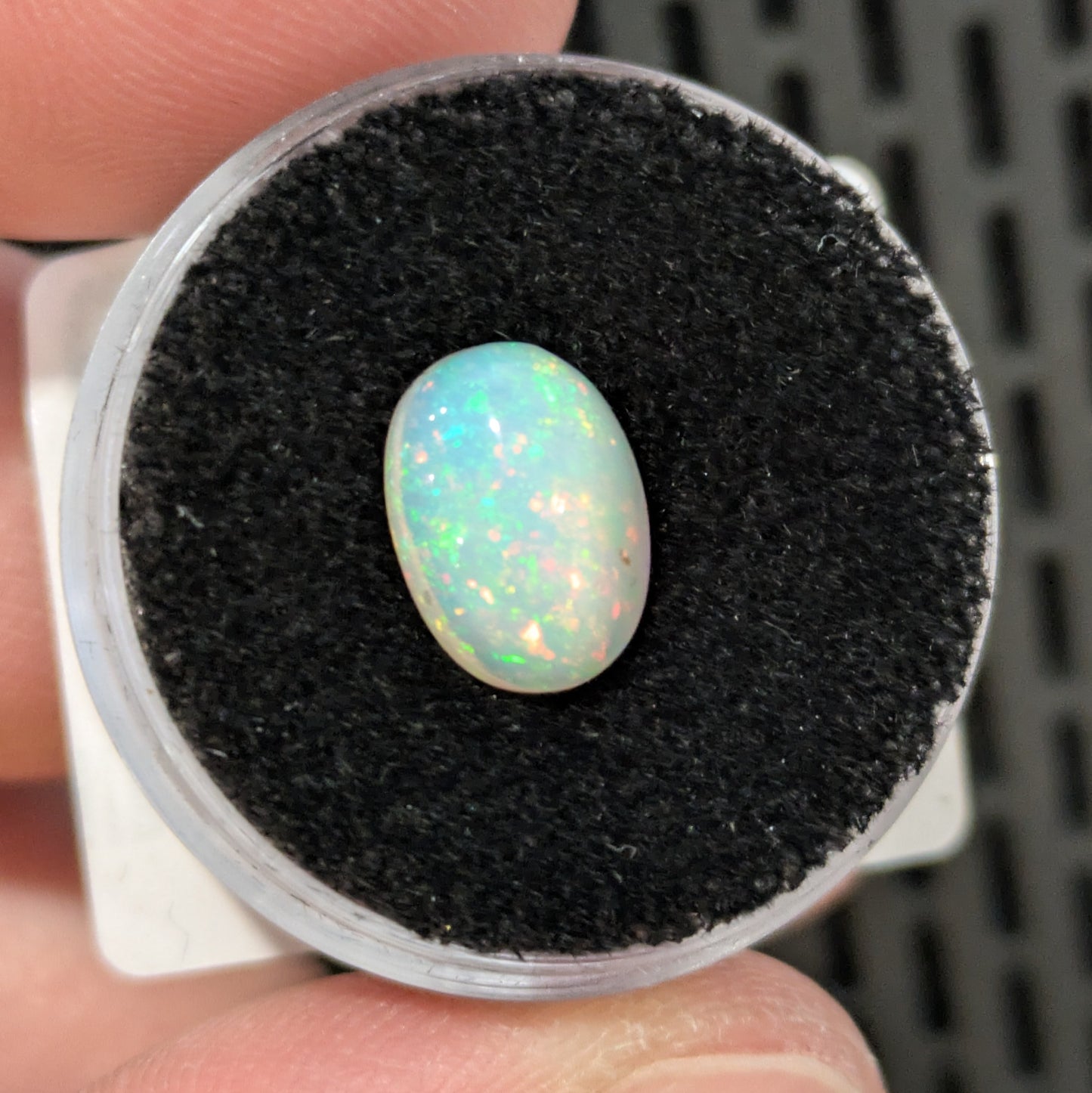 Welo Opal Ethiopia 2.5 Carats