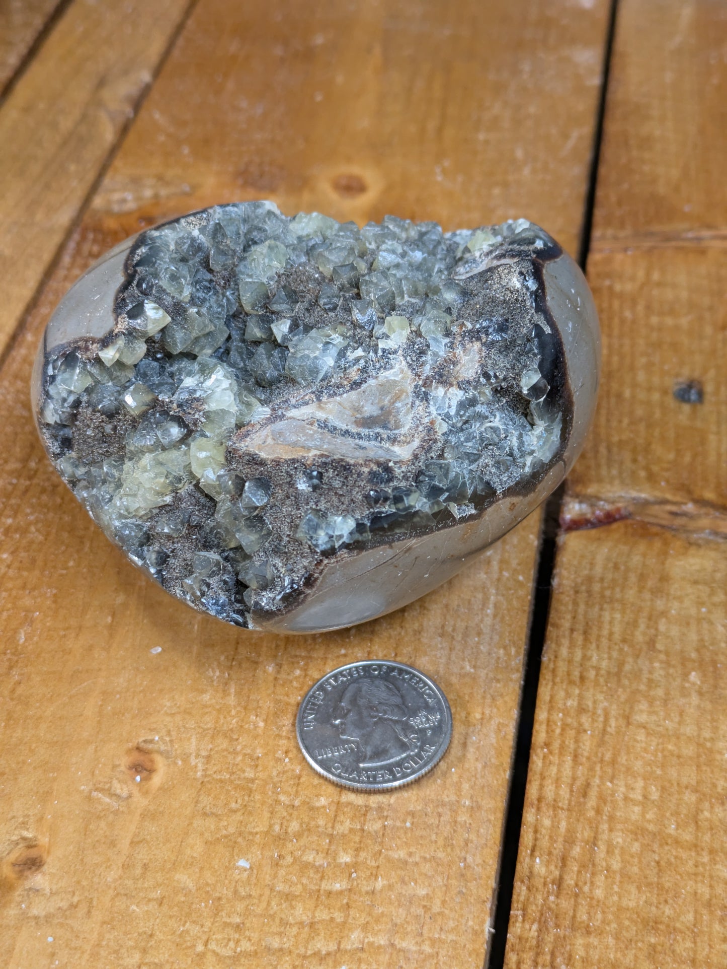 Septarian Nodule Heart 498g