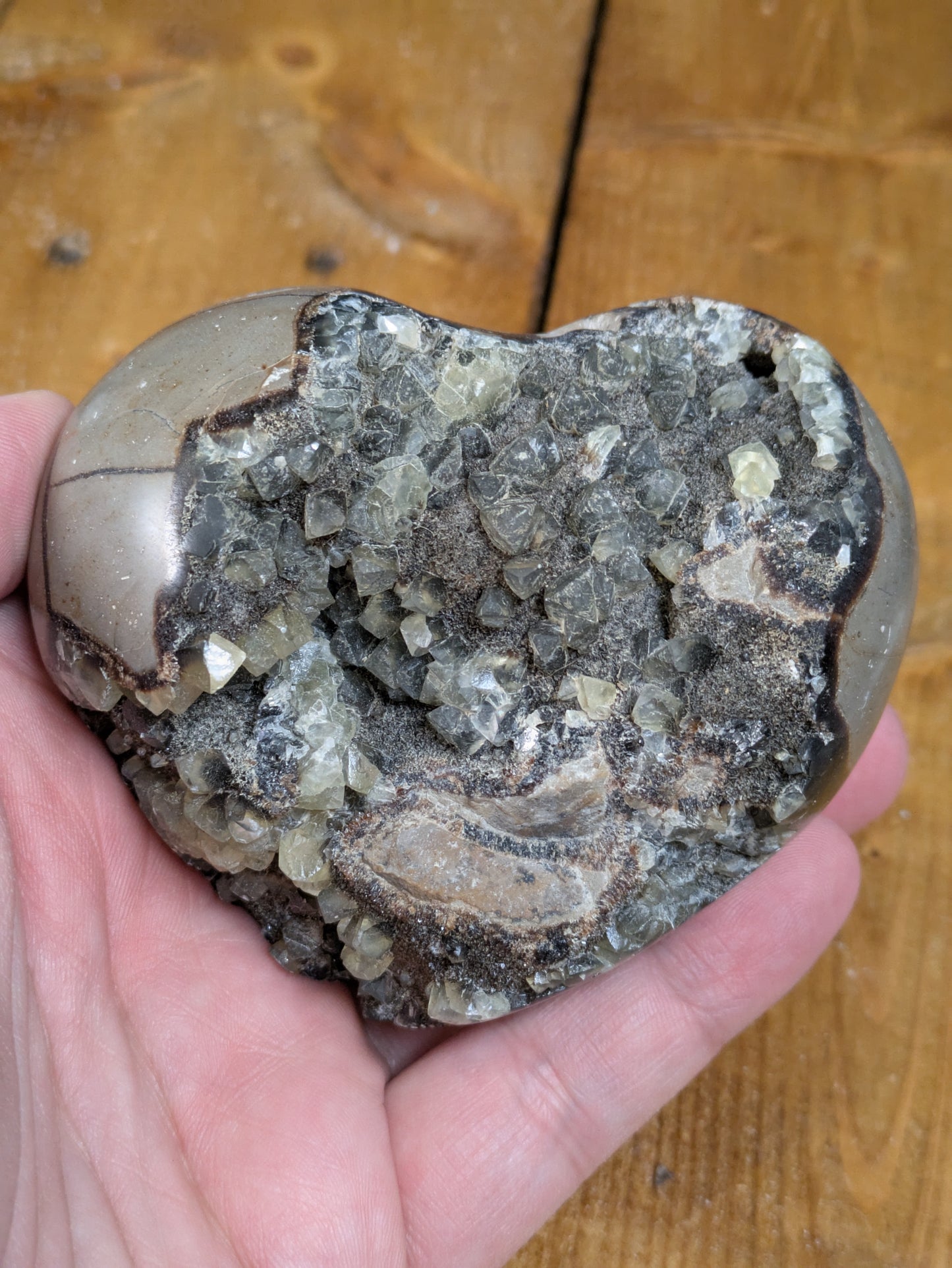 Septarian Nodule Heart 498g