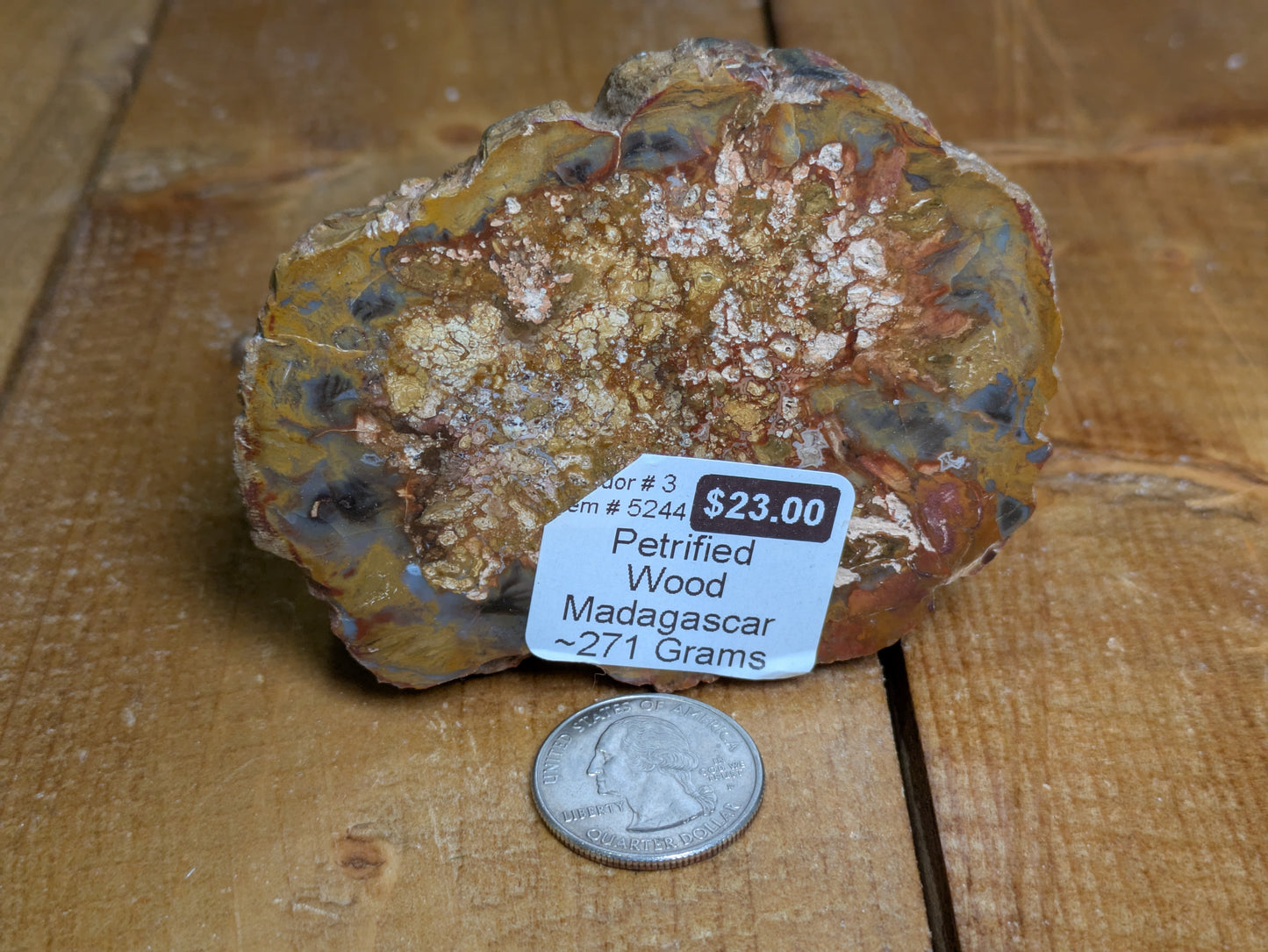 Petrified Wood 271g