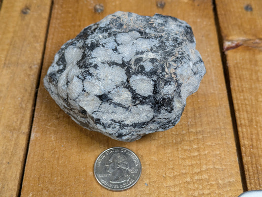 Rough Snowflake Obsidian Utah 337g