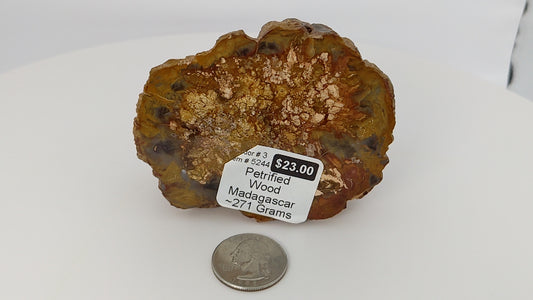 Petrified Wood 271g