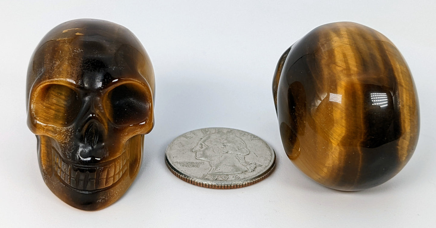 1.5" Tiger's Eye Skull