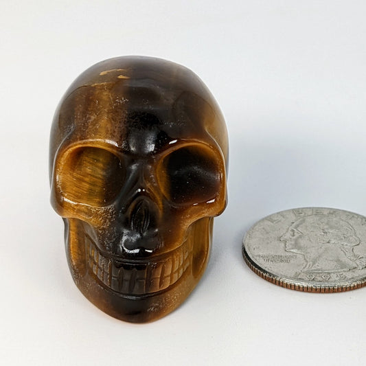 1.5" Tiger's Eye Skull