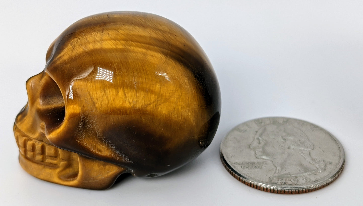 1.5" Tiger's Eye Skull