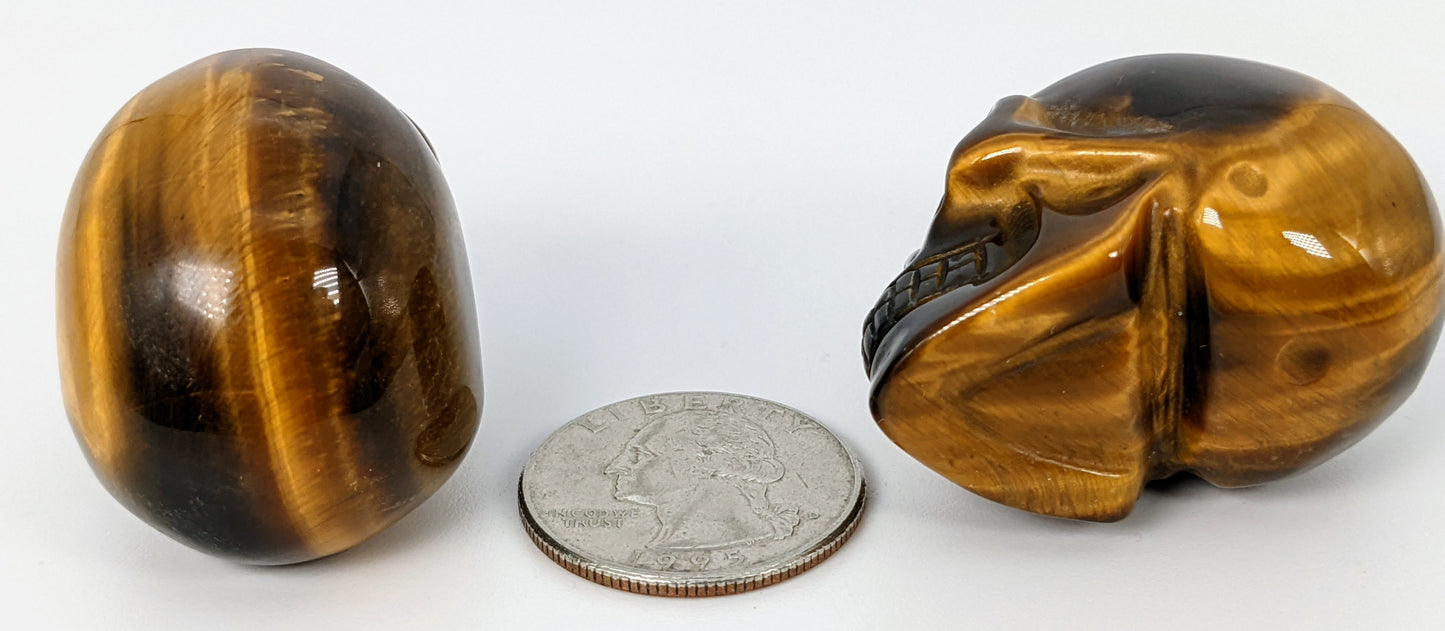 1.5" Tiger's Eye Skull